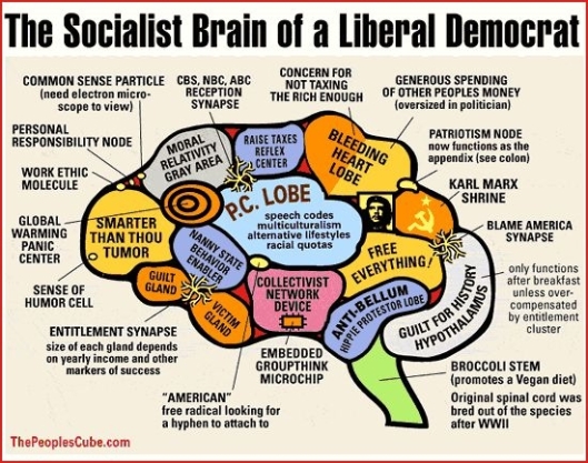 democrat_brain